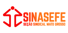 LOGO SINASEFE