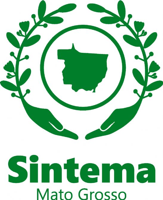 LOGO SINTEMA MT